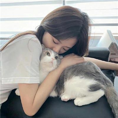 灵书妙探第四季